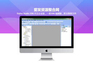 Stylus Studio XML中文企业版＿一款XML编辑器＿附去限制文件